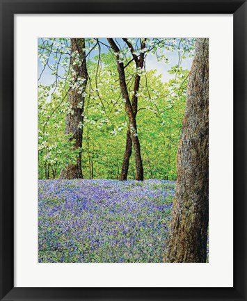 Framed Blue Bells Print