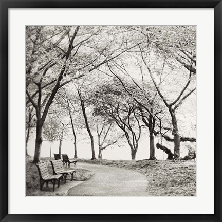 Framed Virginia Park Walk Print