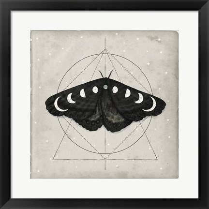 Framed Midnight Moth I Print