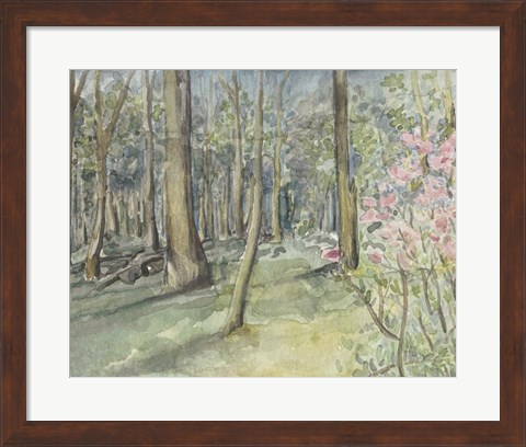 Framed Virginia Woods I Print