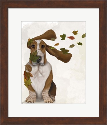 Framed Basset Hound Windswept and Interesting Print