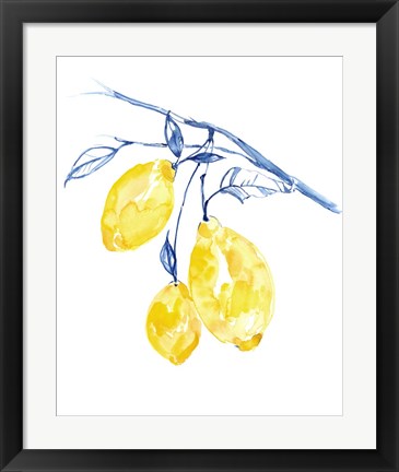 Framed Watercolor Lemons II Print