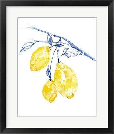 Framed Watercolor Lemons II Print