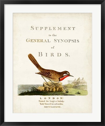 Framed General Synopsis of Birds Print