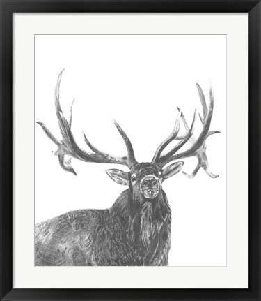 Framed Wildlife Snapshot: Elk Print
