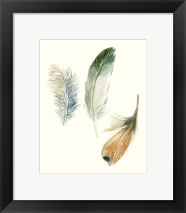 Framed Watercolor Feathers II Print