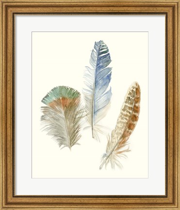 Framed Watercolor Feathers III Print