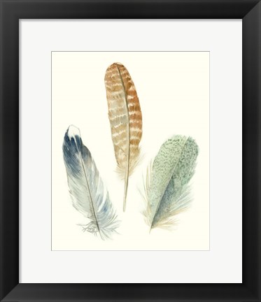 Framed Watercolor Feathers IV Print