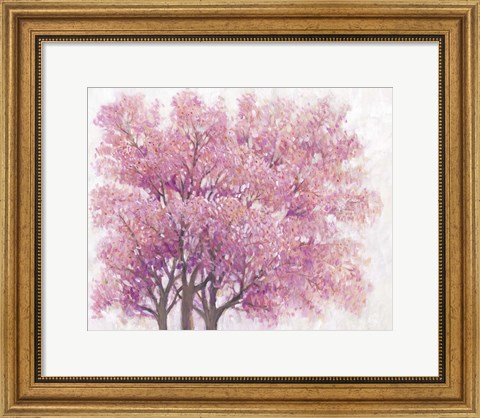 Framed Pink Cherry Blossom Tree I Print