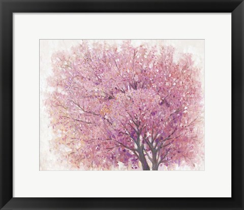 Framed Pink Cherry Blossom Tree II Print
