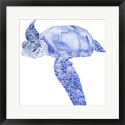 Framed Ultramarine Sea Turtle I Print