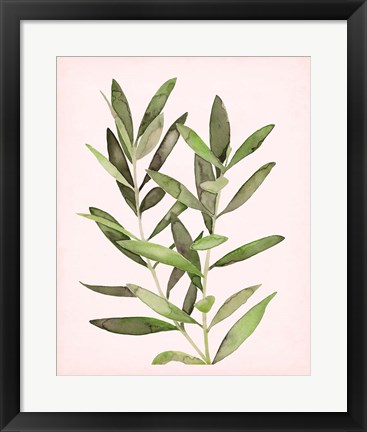Framed Soft Pink Leaves II Print