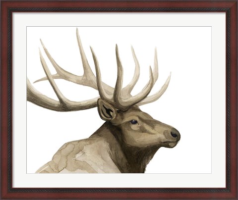 Framed Call of the Elk I Print