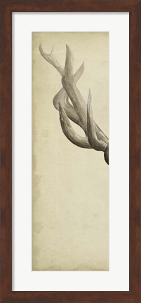 Framed Triptych Elk I Print