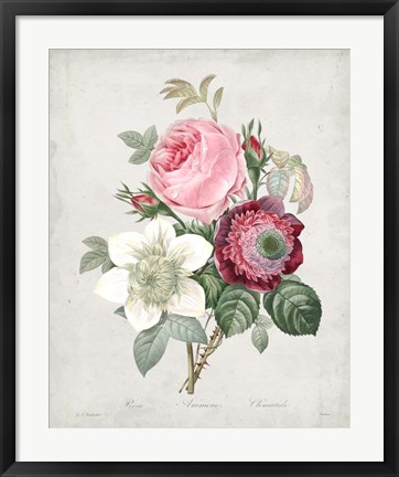 Framed Bouquet IV Print