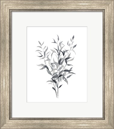 Framed Paynes Grey Botanicals I Print