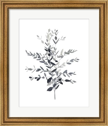 Framed Paynes Grey Botanicals II Print