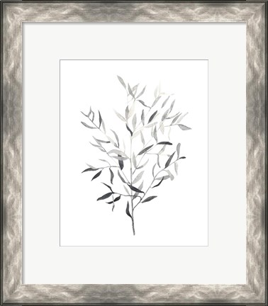 Framed Paynes Grey Botanicals III Print