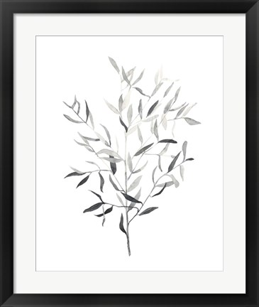 Framed Paynes Grey Botanicals III Print