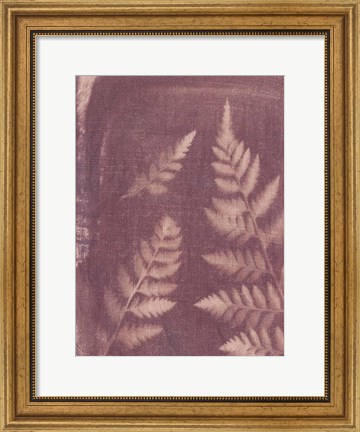 Framed Botanical Sun I Print