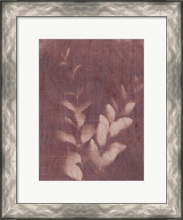 Framed Botanical Sun II Print