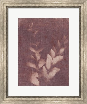 Framed Botanical Sun II Print