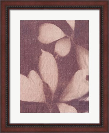Framed Botanical Sun III Print