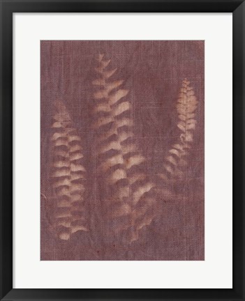 Framed Botanical Sun IV Print