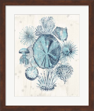 Framed Coastal Melange IV Print