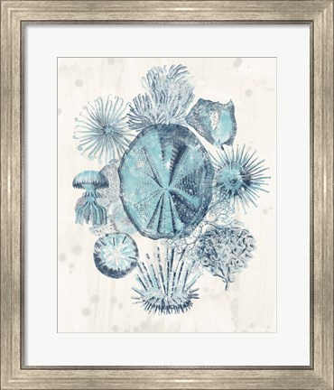 Framed Coastal Melange IV Print