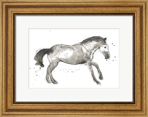 Framed Equine Impressions I Print