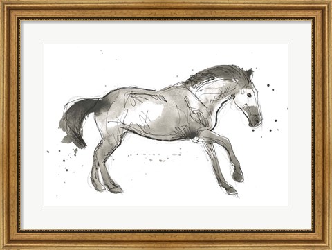 Framed Equine Impressions I Print