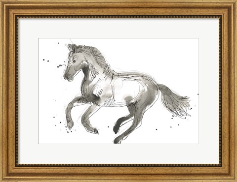 Framed Equine Impressions II Print