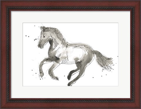 Framed Equine Impressions II Print