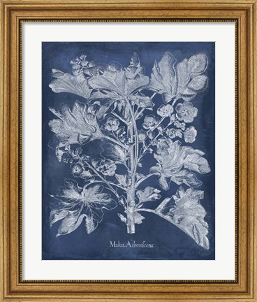 Framed Besler Leaves in Indigo II Print