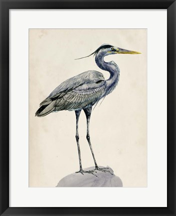 Framed Blue Heron Rendering I Print
