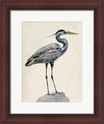 Framed Blue Heron Rendering I Print
