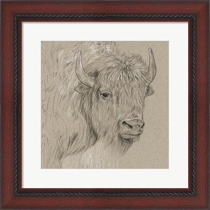 Framed Bison Sketch I Print