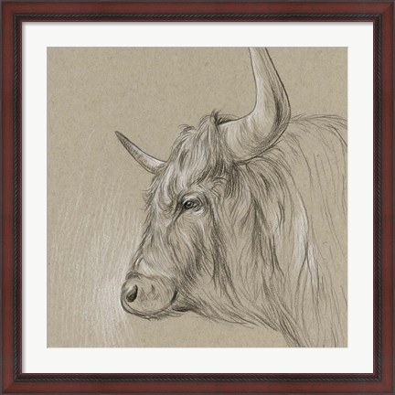 Framed Bison Sketch II Print