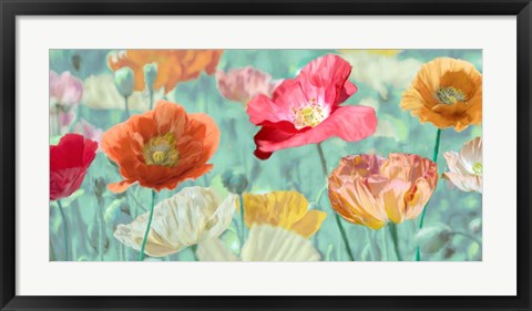 Framed Poppies in Bloom Print