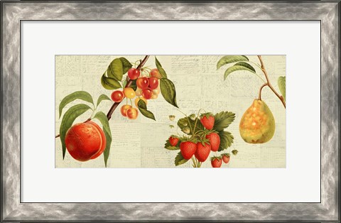 Framed Fruits de Saison Print