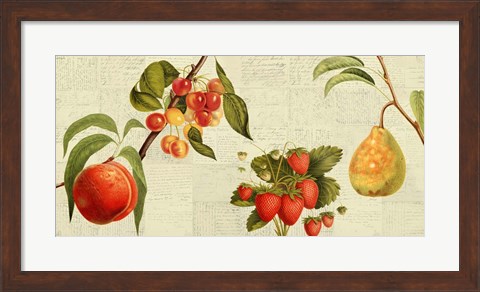 Framed Fruits de Saison Print
