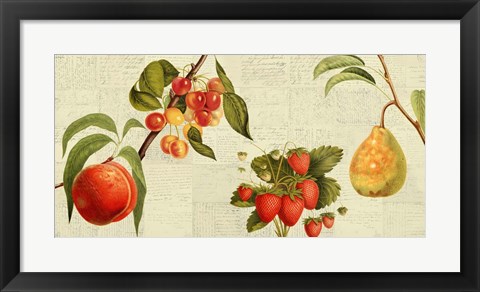 Framed Fruits de Saison Print