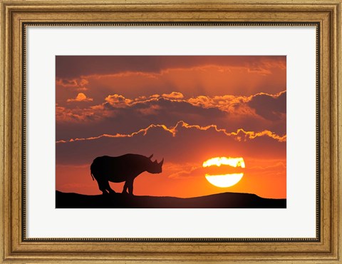 Framed Kenya, Masai Mara Composite Of White Rhino Silhouette And Sunset Print