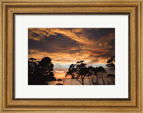 Framed Australia, Tasmania, Freycinet, Sunrise Print