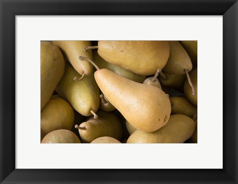 Framed Canada, British Columbia, Cowichan Valley Close-Up Of Harvested Pears Print