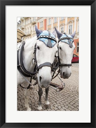 Framed Czech Republic Horses On Cobblestone Karlovy Vary Street Print