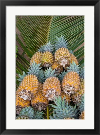 Framed Kingdom Of Tonga, Vava&#39;u Islands, Pineapples Print