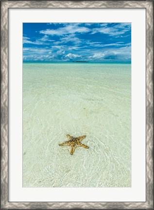 Framed Sea Star In The Sand On The Rock Islands, Palau Print