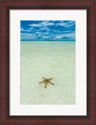 Framed Sea Star In The Sand On The Rock Islands, Palau Print